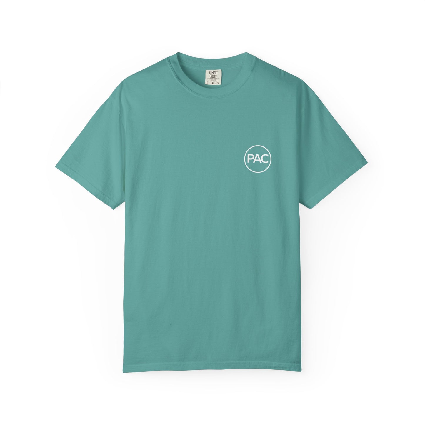 Pam Bondi - Out Of Here Political Parody T-Shirt (Back)